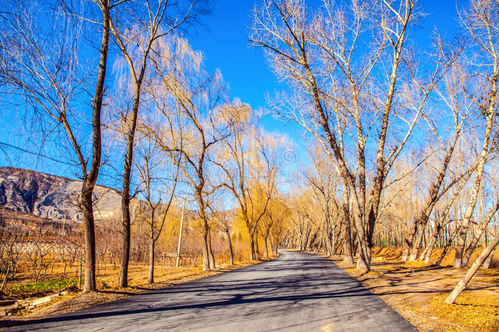 early-winter-scene.jpg